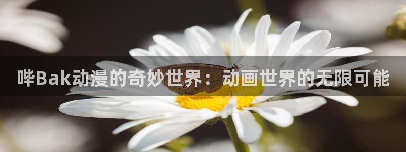 绅士acg动漫：哔Bak动漫的奇妙世界：动画世界的无限可能