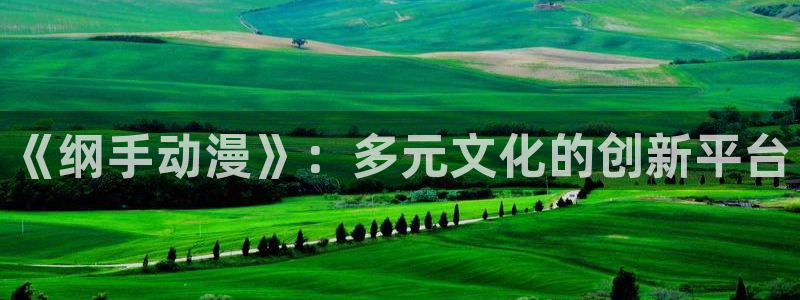 acg动漫资源网站入口：《纲手动漫》：多元文化的创新平台