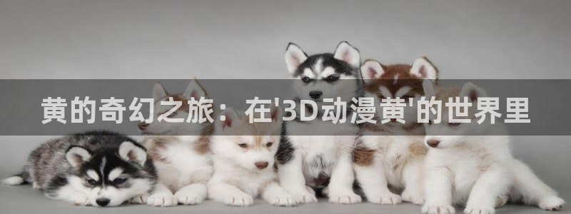 绅士acg动漫